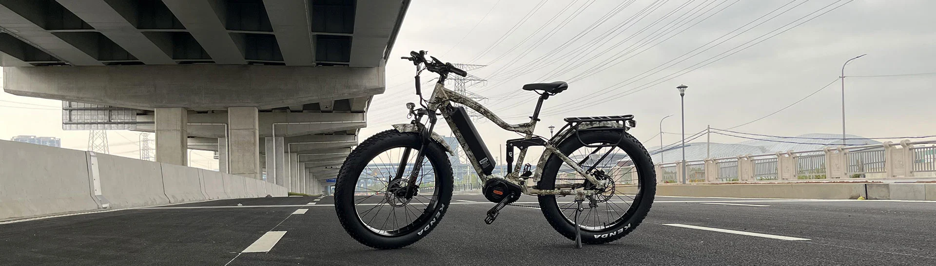 Electric mountain bike