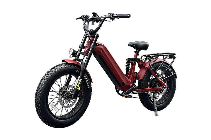 High Speed Electric Bike for Sand Adventures