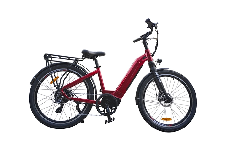 Hidden Battery Electric Bike for Effortless Rides