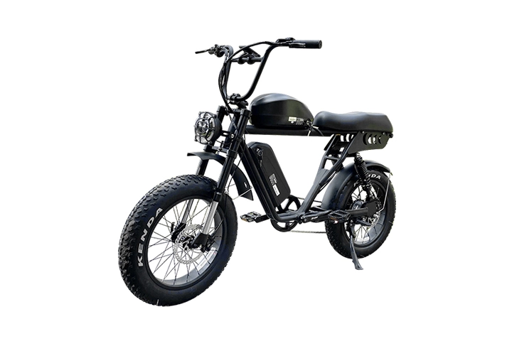 Retro Electric Bike: Dual Battery Fat Tire E-Bike