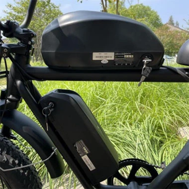 Dual Battery