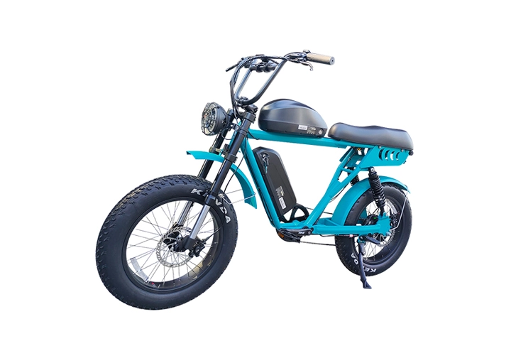 Dual Battery Fat Tire Electric Bike-2.webp