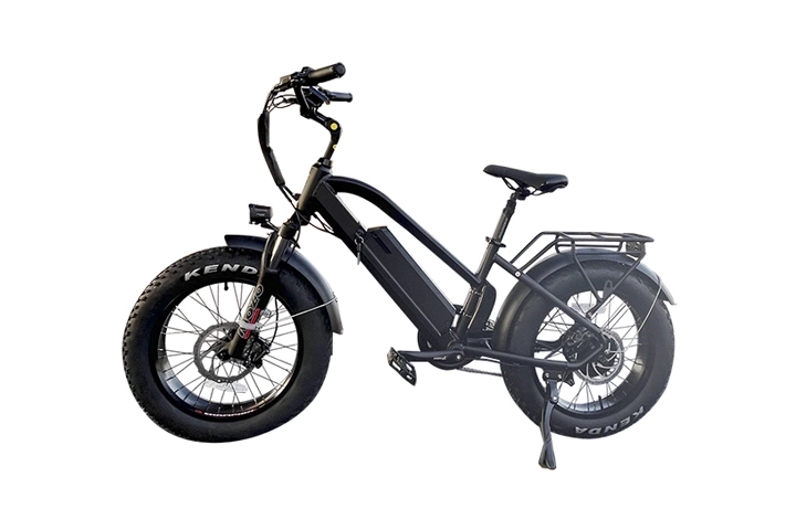 20 Fat Tire Electric Snowbike - Adventure Ready E-Bike