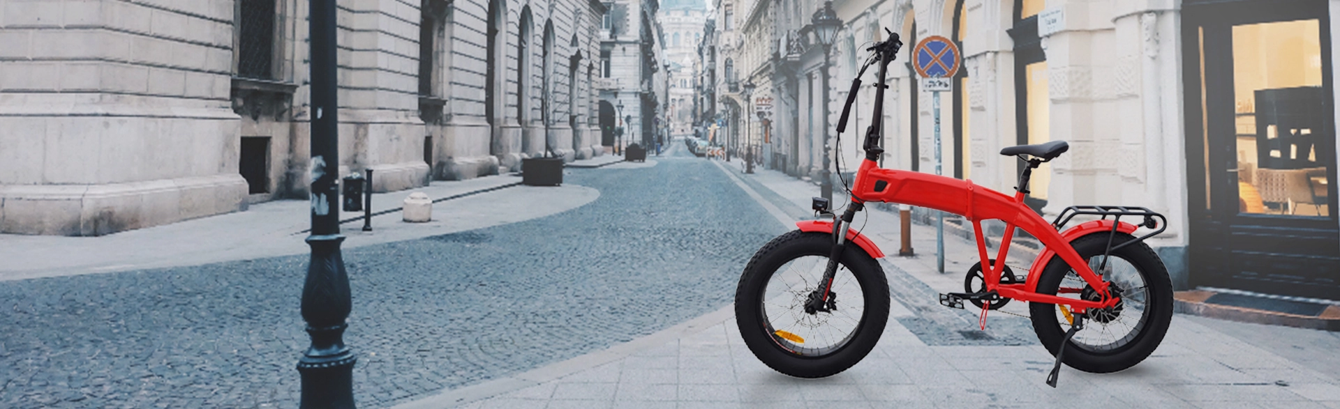 20 Inch Ebike: 500W Fat Tire Electric Bike