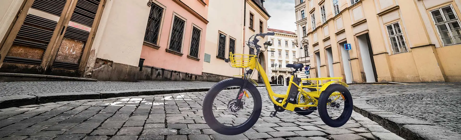 Electric Cargo Trike